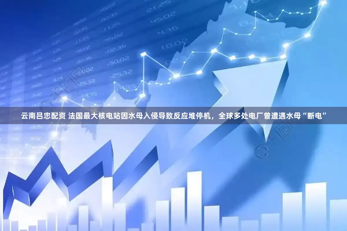 云南吕忠配资 法国最大核电站因水母入侵导致反应堆停机，全球多处电厂曾遭遇水母“断电”