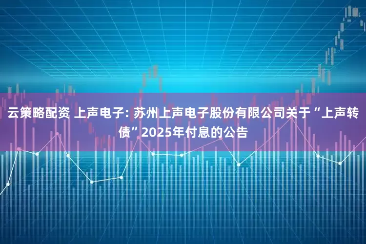 云策略配资 上声电子: 苏州上声电子股份有限公司关于“上声转债”2025年付息的公告